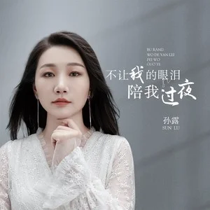孙露《不让我的眼泪陪我过夜》DSD网赚项目-副业赚钱-互联网创业-资源整合HIRES SHOP
