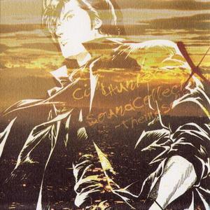 City Hunter Sound Collection X -Theme Songs- (动画《城市猎人》系列主题曲集) disc2网赚项目-副业赚钱-互联网创业-资源整合HIRES SHOP